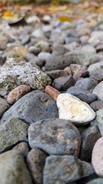 istock Massive Igneous Chunks with dry leaves on top, Rock Texture for Background 1494132903