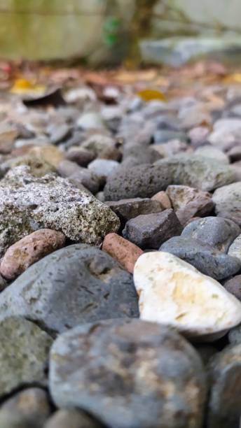 istock Massive Igneous Chunks with dry leaves on top, Rock Texture for Background 1494132984