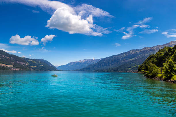 Thunersee lake (Lake Thun) in Switzerland in a beautiful summer day