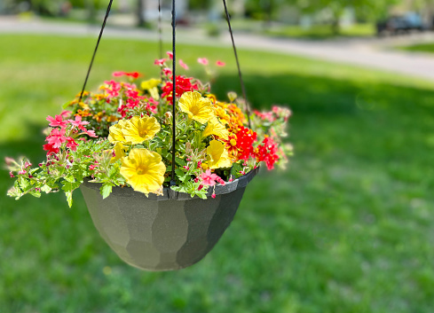 Hanging pots with ampel flowers, design of garden houses. Studio Photo.