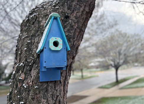 Small blue winter birdhouse covered in a light layer of snow in a suburban setting.