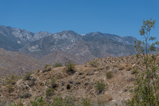 Beautiful desert vista along the east branch of the Palm Canyon trail with snow capped mountain peak at the horizon in Palm Springs, Southern California