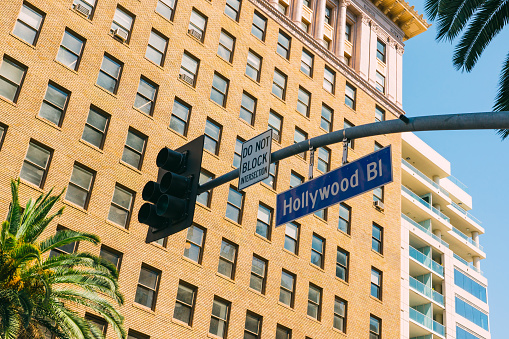 Hollywood Boulevard road sign and traffic light with modern building in the background, Hollywood, California