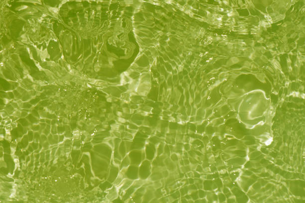 istock Light green water with ripples on the surface. Defocus blurred transparent colored clear calm water surface texture with splashes and bubbles. Water waves with shining pattern texture background. 1494153275