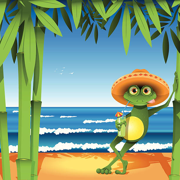 ilustrações, clipart, desenhos animados e ícones de sapo na praia - frog sideways glance humor desire
