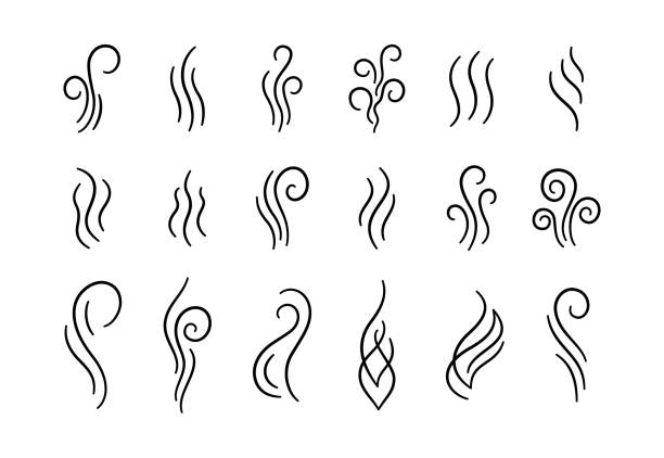 stockillustraties, clipart, cartoons en iconen met doodle smoke icons set. water steam symbols. hand drawn hot vapors. line air smell symbols. doodle fire smoke icons. vector illustration isolated on white background - ruiken