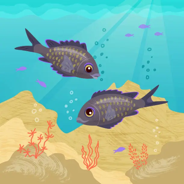 Vector illustration of Two fish underwater