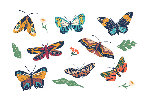 Butterflies With Vibrant Wings And Fluttering Flight. Symbolizing Transformation And Beauty, Graceful And Delicate Creatures, Bring Joy And A Sense Of Wonder. Cartoon Vector Illustration