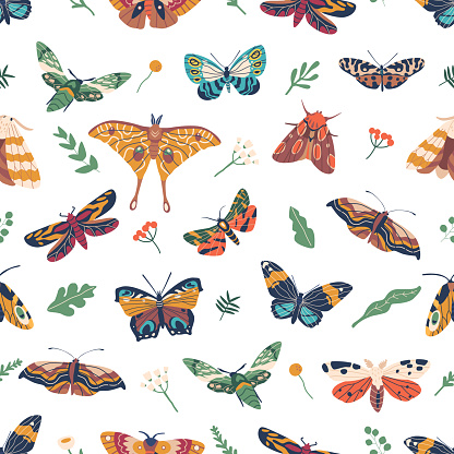 Exquisite Seamless Pattern Featuring Elegant Butterflies In Various Colors And Sizes, Creating A Captivating And Whimsical Design Perfect For Decor, Fabric, Or Wallpaper. Cartoon Vector Illustration