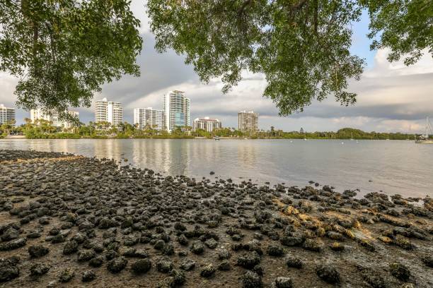 View of Sarasota city buildings from across the bay stock photo