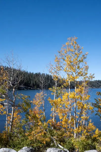 Photo of View of Marlette Lake in the Autumn