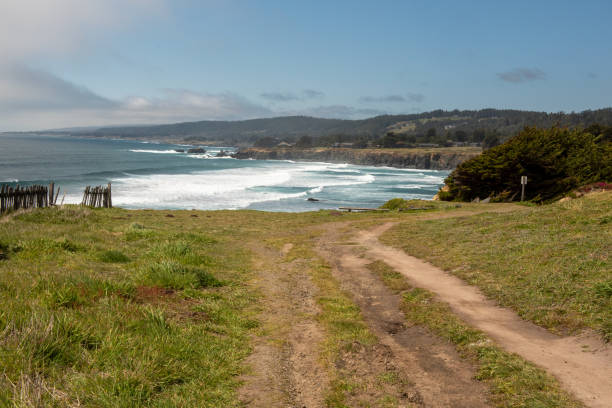 istock A pathway to the beach in Sea Ranch 1494161522