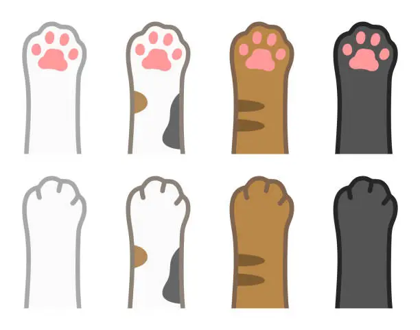 Vector illustration of Cat's paws isolated vector illustrations set.