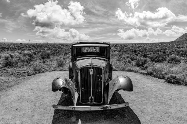 Petrified Forest National Park