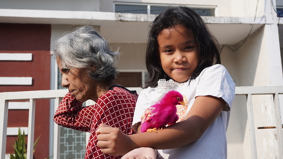 a 7 year old little girl accompanying her 60 year old grandmother who is sunbathing in the morning while playing with a chick in her arms. Selective focus