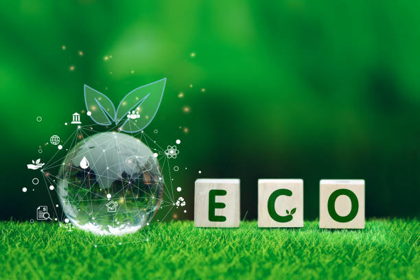 istock Earth crystal glass globe ball, concept for environment and conservation 1494166509