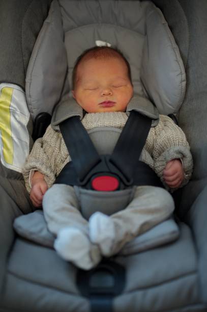 istock Baby in baby stroller 1494169609