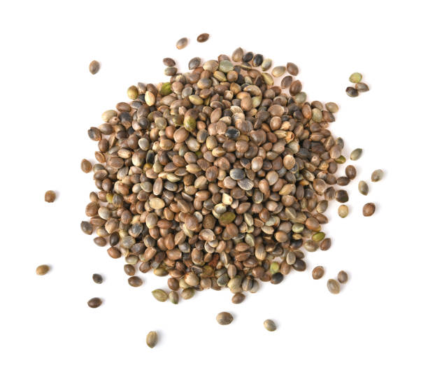 istock Heap of hemp seeds on white background. 1494171582