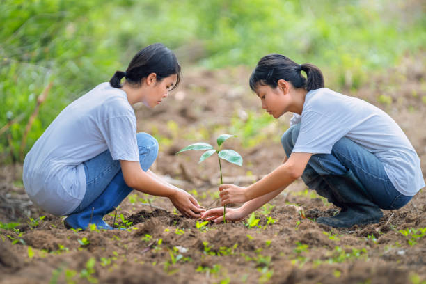 istock people voluntee planting small tree in sunset. concept save earth 1494175957