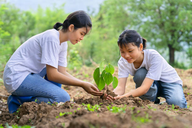 istock people voluntee planting small tree in sunset. concept save earth 1494175959