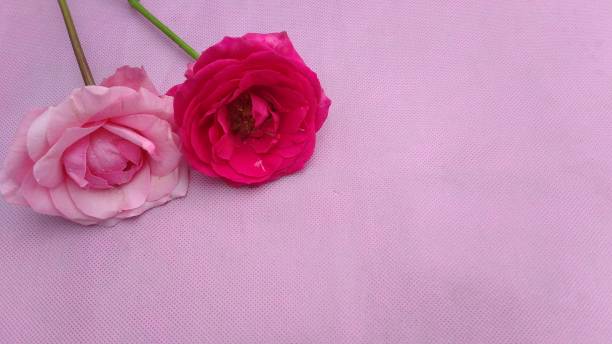istock Bouquet of Roses 1494177932