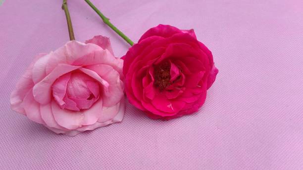 istock Bouquet of Roses 1494177947