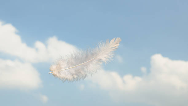 istock Beautiful Soft and Light White Fluffy Feathers Floating inThe Sky with Clouds 1494177984
