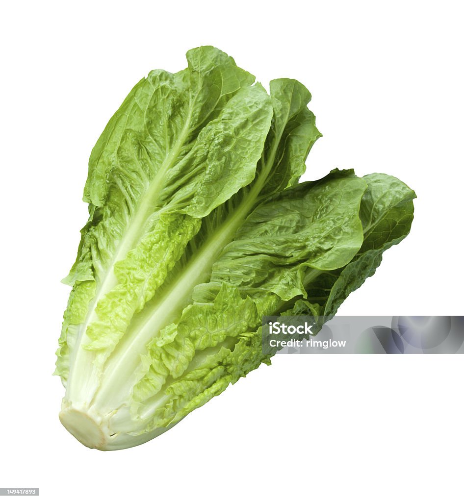 Romain Salat, isoliert auf weiss - Lizenzfrei Salat - Blattgemüse Stock-Foto