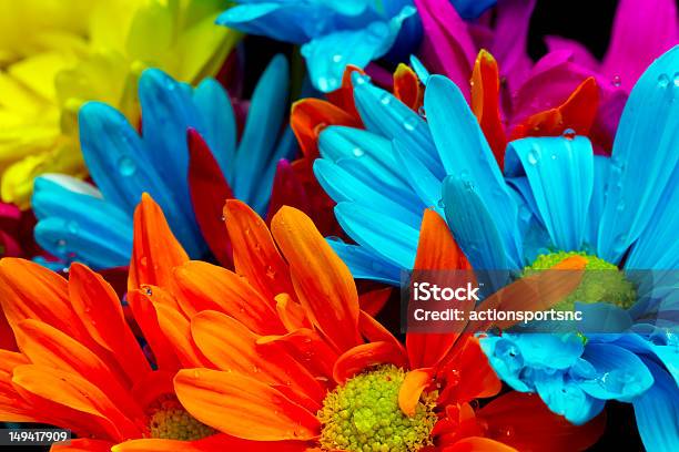 Flowers Stock Photo - Download Image Now - Backgrounds, Beauty In Nature, Blossom