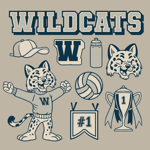 ilustraciones, imágenes clip art, dibujos animados e iconos de stock de wildcat mascot vintage conjunto de objetos dibujados a mano - gato montés