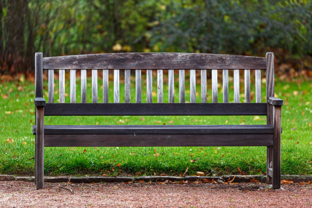 istock Detail from wooden bench in park 1494189381