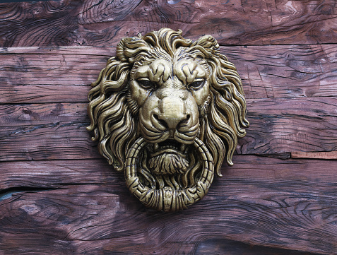 sculpture head of a lion on a wooden wall