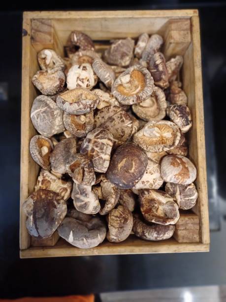 istock A Box of Groceries Mushrooms 1494201754