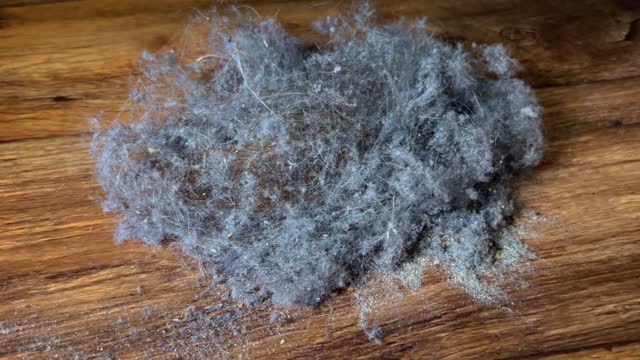A pile of dust, dirt and hair lies on a wooden floor during cleaning.