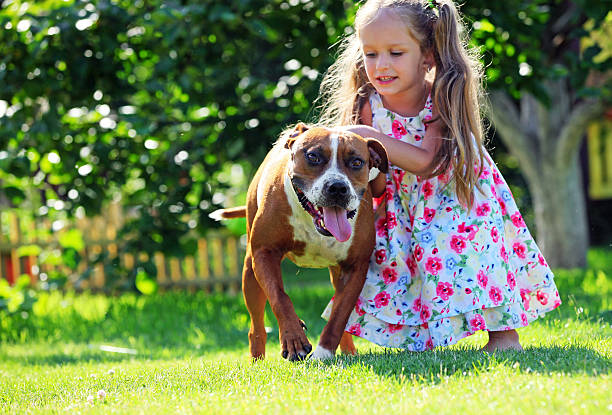 Cute four-year old girl playing with her dog stock photo