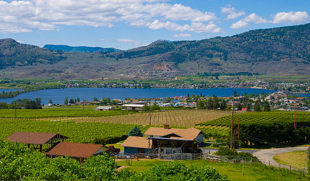 kręta droga z osoyoos wino valley - lake osoyoos zdjęcia i obrazy z banku zdjęć