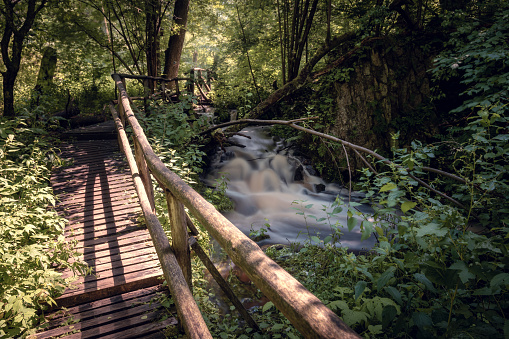 Footbridge over a brook in a dense forest. Natural water cascade. Blurry flowing water. Czartowe Pole nature reserve, Roztocze, Poland