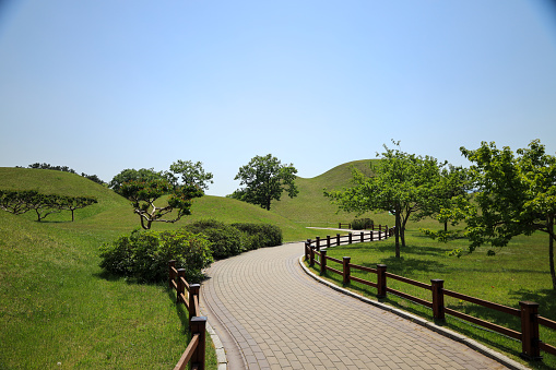 Daereungwon Tomb Complex in Gyeongju, South Korea on a sunny spring day. It is a park where a king and other important people were buried. It is very clean and green.