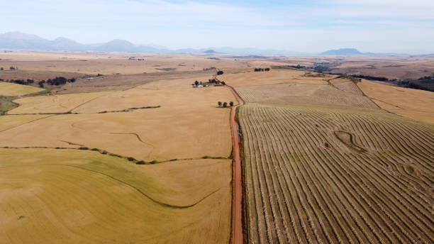 istock Farms, Fields and Mountains in Rural Western Cape 1494216631