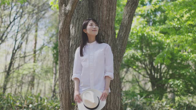 Japanese women in their 30s enjoying forest bathing while relaxing in the early summer forest