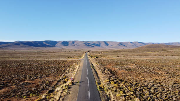 istock Long Straight Desert Road 1494217313