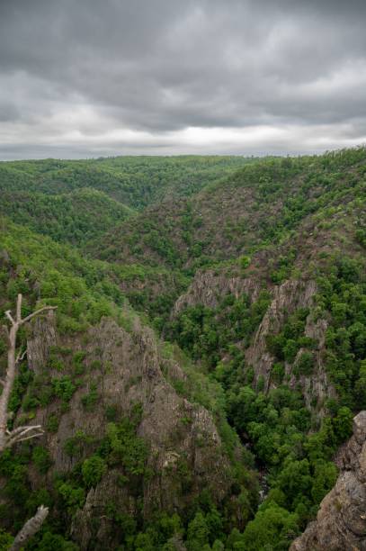 istock Scenic view of the Bode Gorge in Germany. 1494219649
