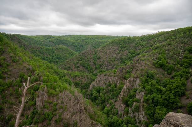istock Scenic view of the Bode Gorge in Germany. 1494219690