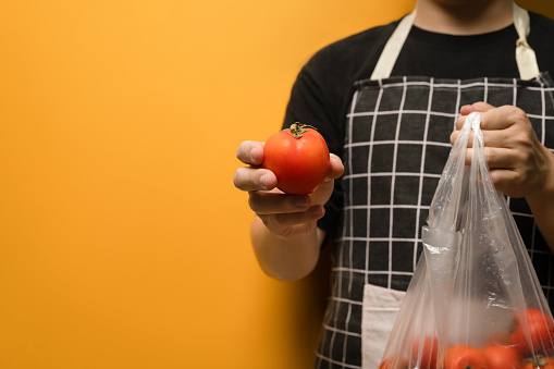 Unrecognizable wearing apron holding fresh organic tomatoe on yellow background. Vegetables and healthy food concept.