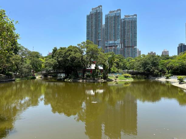 istock Hong kong tuen mun park 1494224088