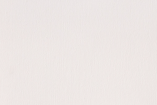 White canvas with delicate fiber great as background. This file is cleaned and retouched.
