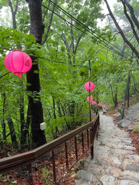 istock Buddha’s birthday Hiking Trail 1494226025