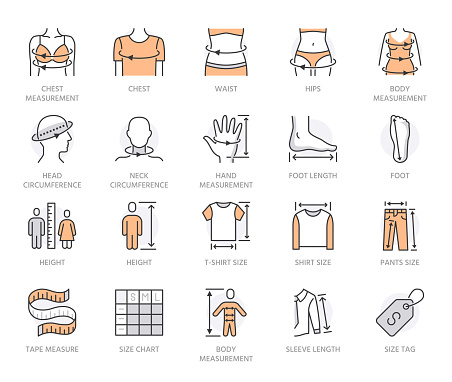 Clothes size flat line icons set. Body measurement - waist circumference, hip, chest, sleeve length, height vector illustrations. Outline signs for clothing sizes table. Orange color. Editable Stroke.