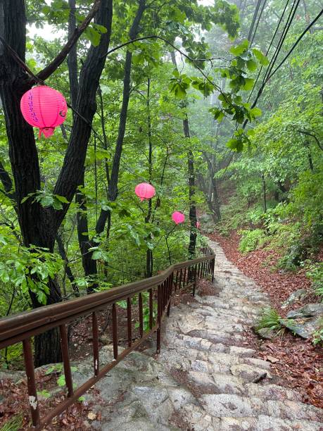 istock Buddha’s birthday Hiking Trail 1494226106
