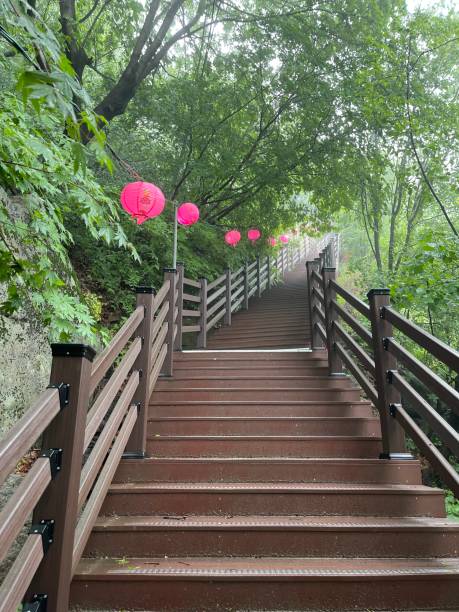 istock Buddha’s birthday Hiking Trail 1494226113